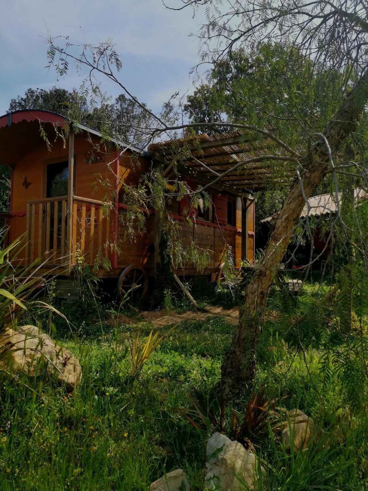Le Nid Des Crinieres Vagabondes Oletta (Corsica)
